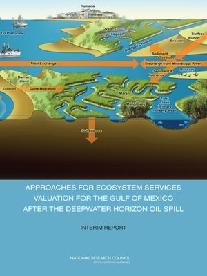 cover image of Approaches for Ecosystem Services Valuation for the Gulf of Mexico After the Deepwater Horizon Oil Spill